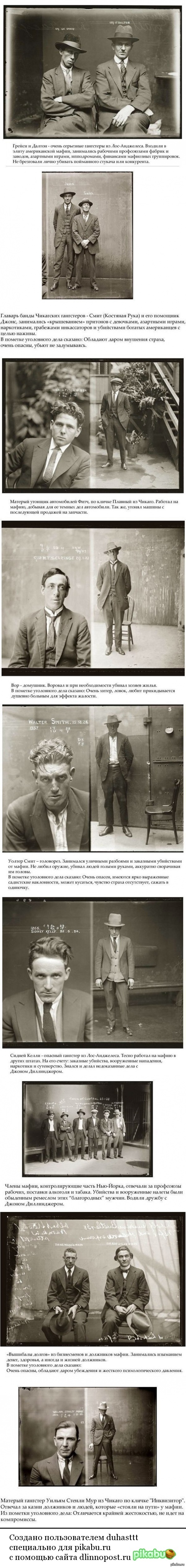 ������������ ��������