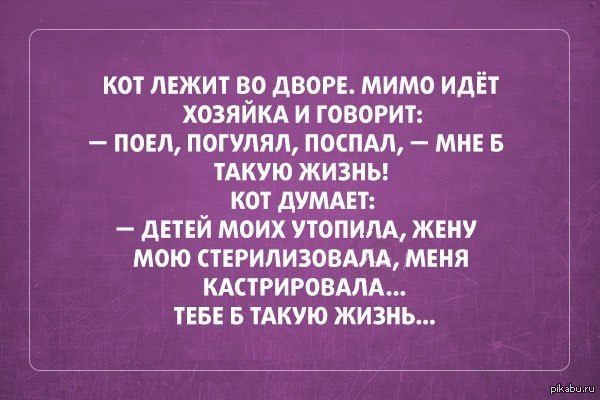 Беседа на кухне. Подруги на кухне за столом. Женщина на кухне. Norman rockwell художник домохозяйка. Женщина на кухне юмор.
