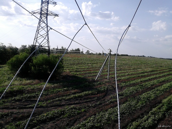 ����� ��� ��� � ����� ����� ������