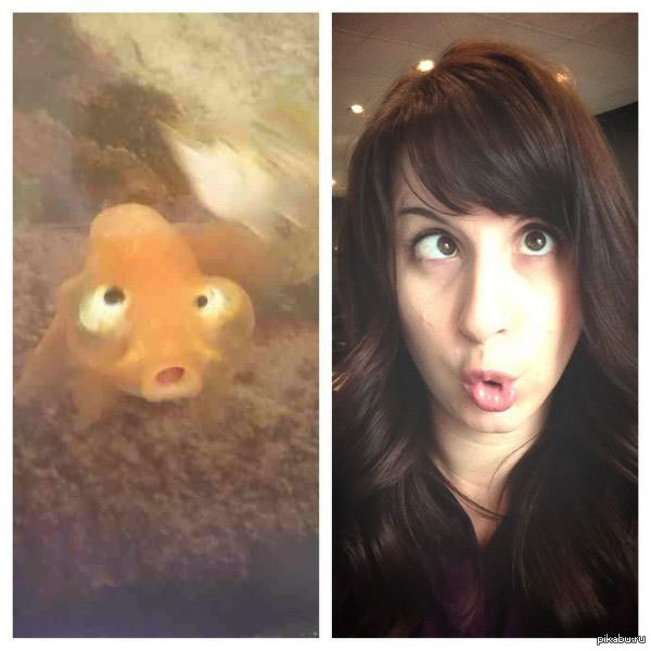 Две рыбки | Пикабу