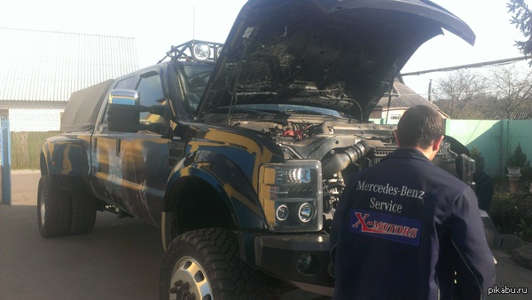 ������������ ,����� ���� ������