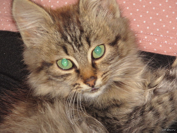 Маленький космос