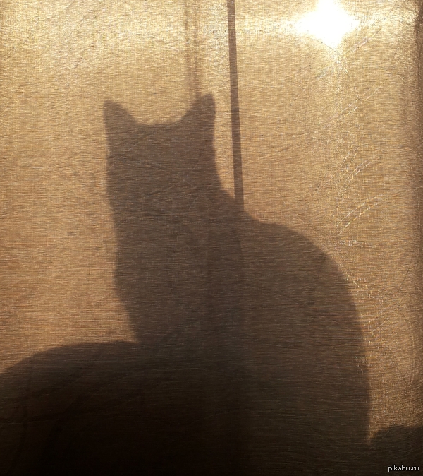 ��� � �����