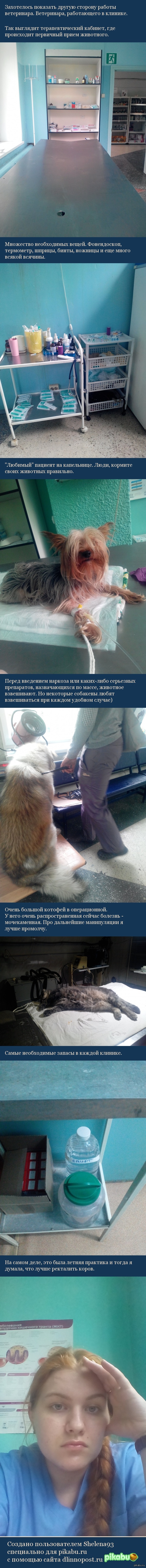 ������ �����������.