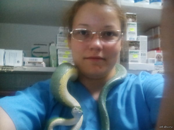 Ассистент вет.врача - моя работа