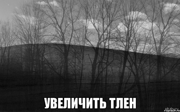 Без смс и регистраций