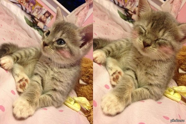 Ой, ну перестань