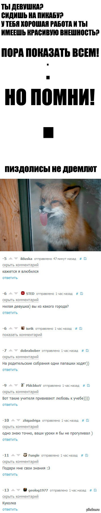 ���� ��������