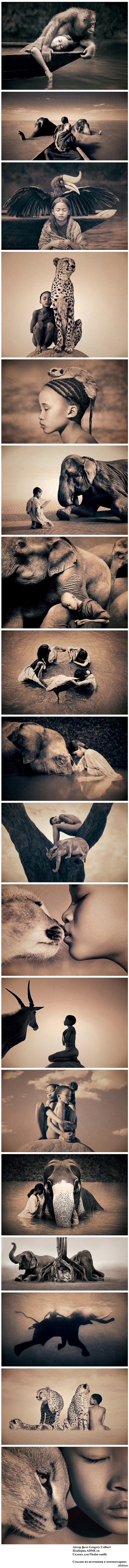 "Пепел и снег"