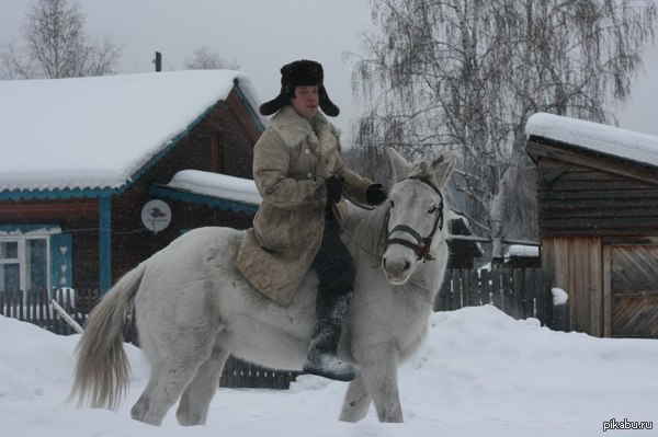 This is Justas Walker. - Justas Walker, Severity, Men, Horses, Cotton wool, Winter