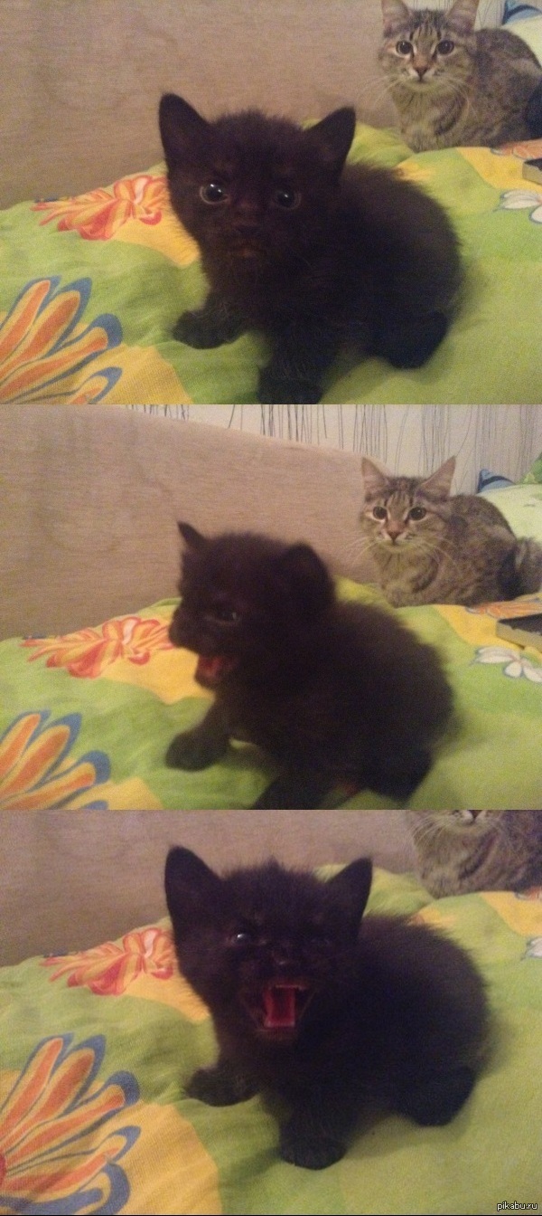 Косплей на заставку киностудии)