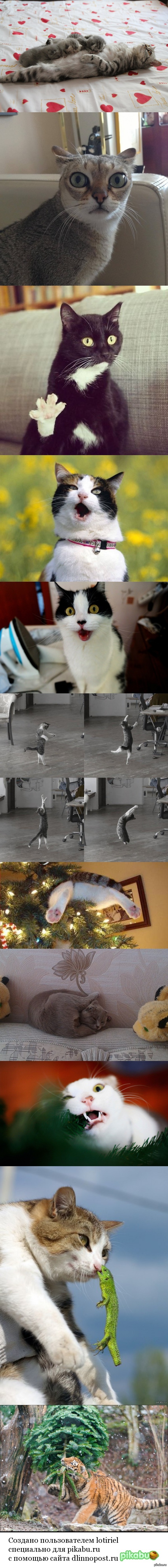 �������� ������� �����