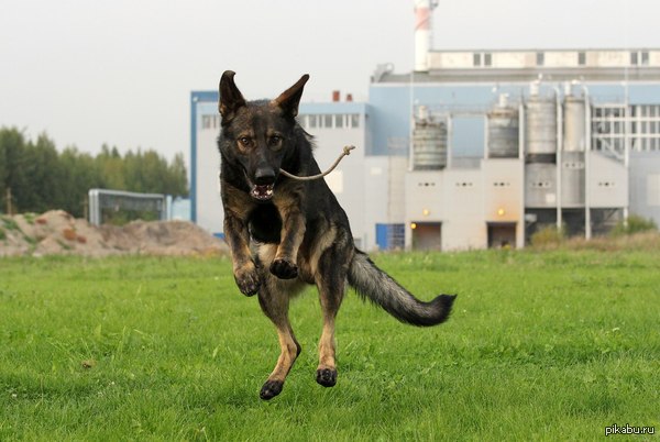 ������ ���� �����.��.�� ��� ���� ������� ������� ����.