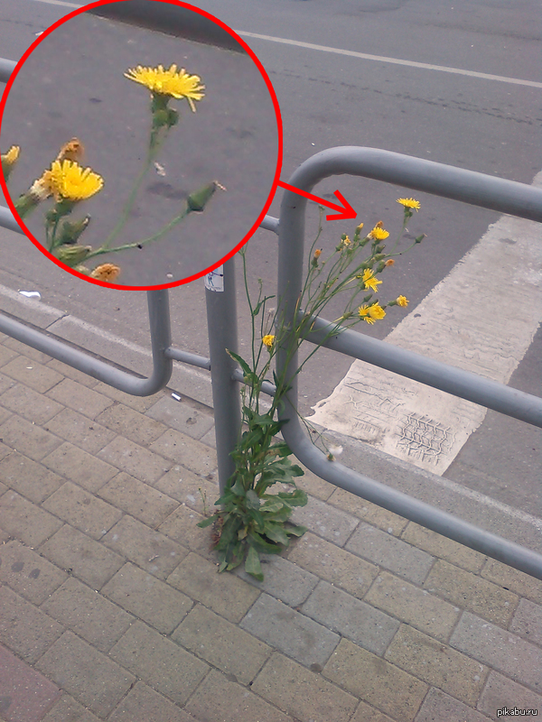 ����� ������� ����..2