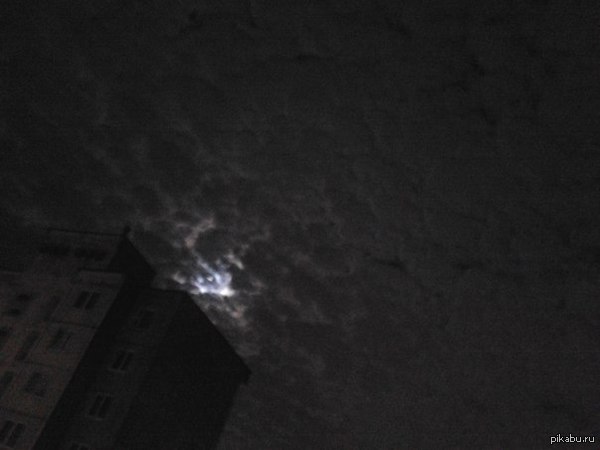 ������ ������