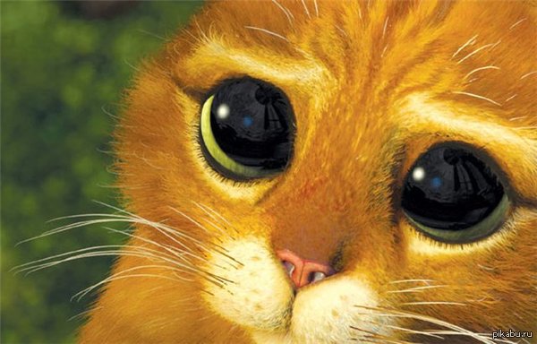 ,      .     : 410012004059506