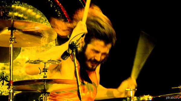 ,25- ,34     . ׸    Led Zeppelin, ,          bonzo.