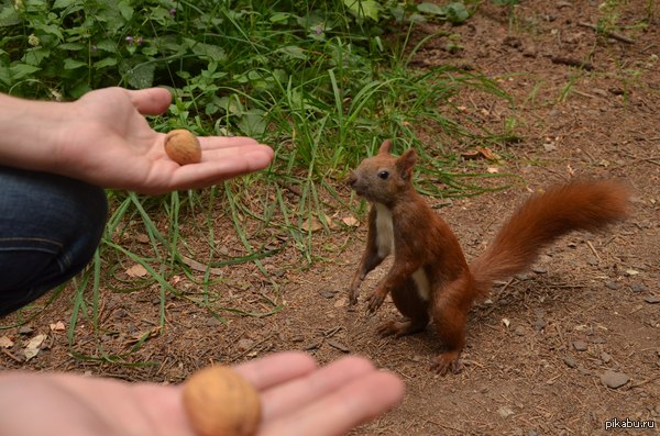 ��� �� ��������, ���?