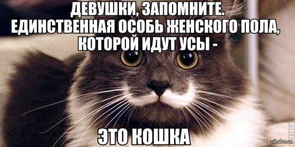 ����� ��������� ��������:)