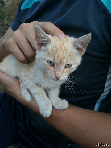 ��� �������.