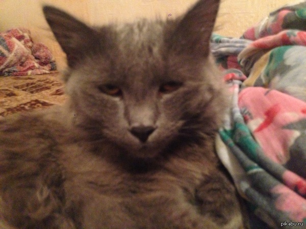 ������ ����, ����� � ������� ��� ������. :)