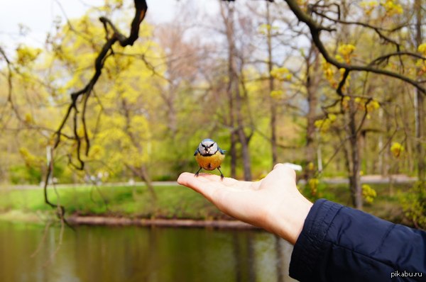 ��� ����� ������ ������ ���������������� � ��� ����� ����!