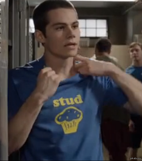 опять же волчонок