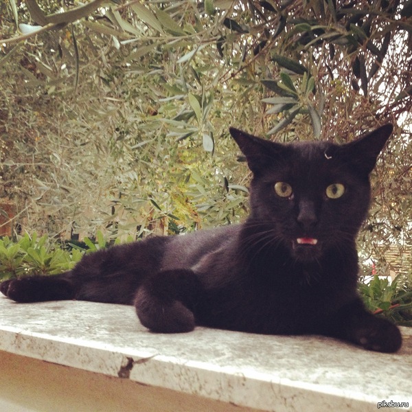 �������� ������ ������� ����� ��������.