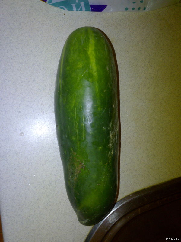 ��� ��������