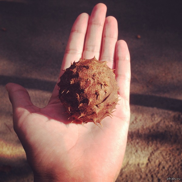 ��� �� �� ��������?