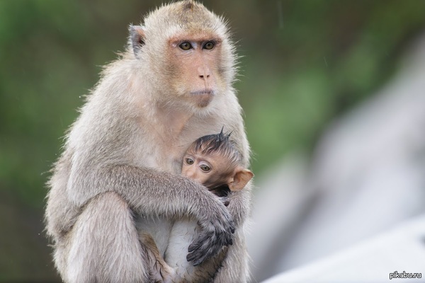 ������..