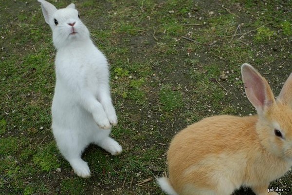 Сфоткала?!