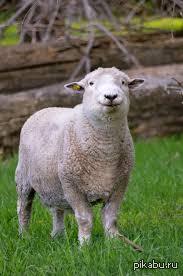 � ���� ���� �������� ������-������ ��������� � ��������� ���� ������ �������� � 4 �������.