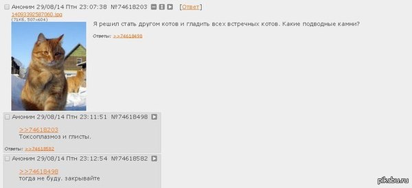 ������ ������.