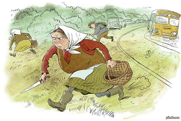 �������� ������ ���������