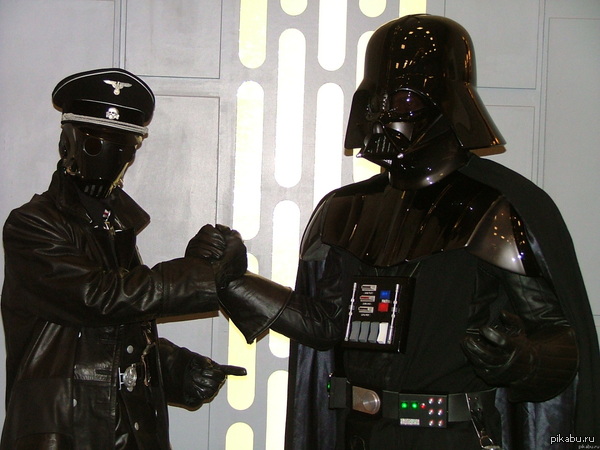 6,5 .         - 6  .