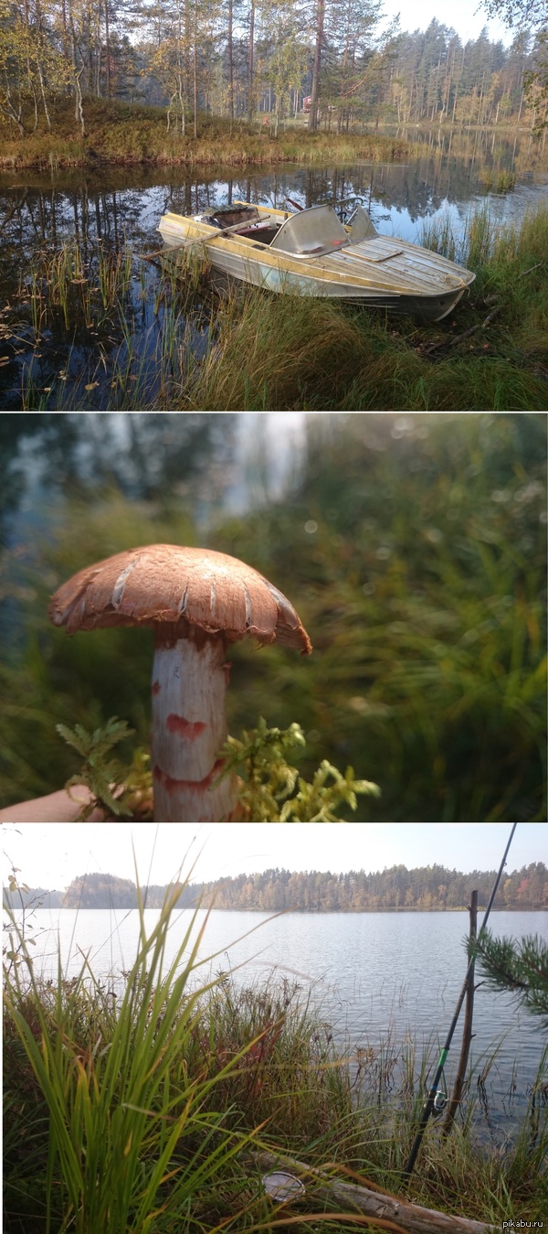 ������� ���� ����� � �������