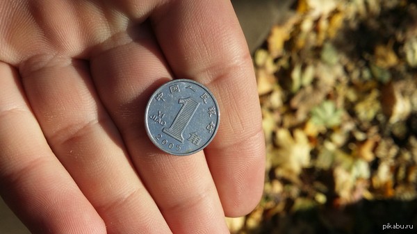 ����������, ��� ���?