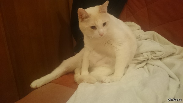      ,      &quot;&quot; =)