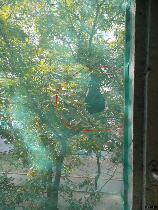 Обычные будни в общаге