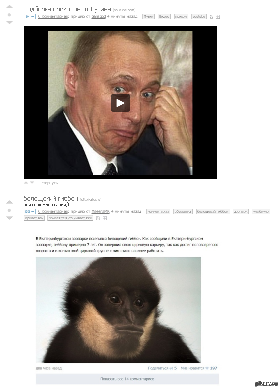 ��� ���� ���������� �� ������