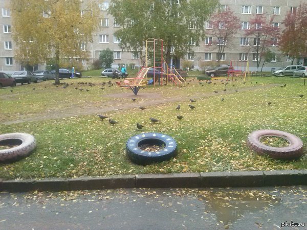 Захожу я во двор а там.....