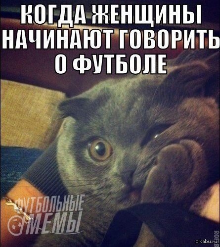 Женщины о футболе | Пикабу