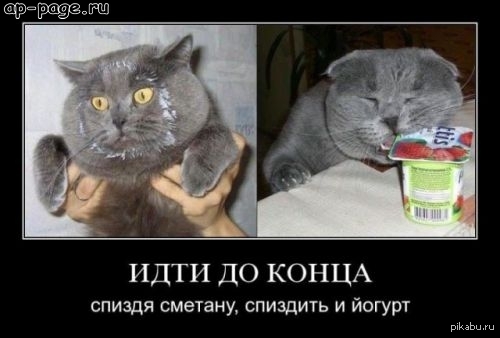 Иди Ва-Банк! | Пикабу