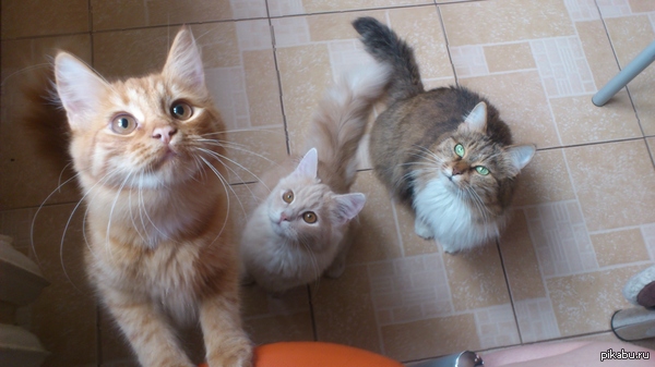 ��� � ���� ������ ����, ����� ��������� :D