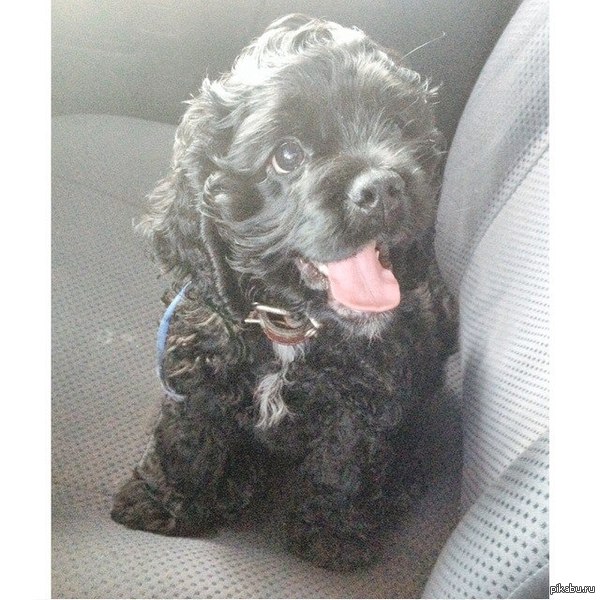 ������� ����� ������! �������� �������