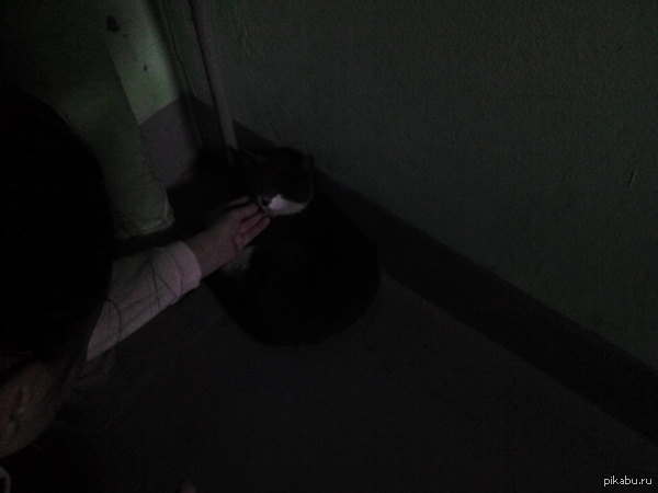 ����� ������ ���� �����!