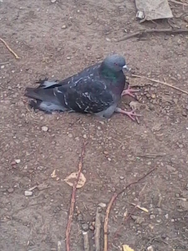 Когда совсем устал