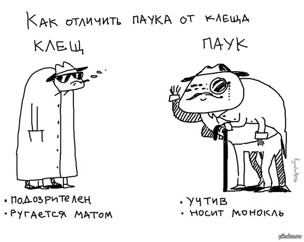 ��������� �����