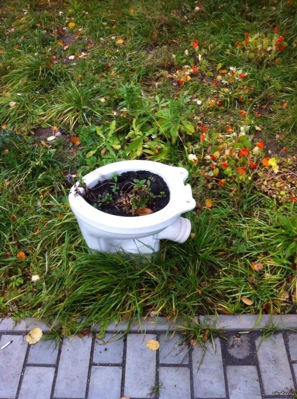 ������ ����� ��������